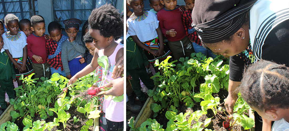 Etafeni-Programmes-ECD-Gallery-3